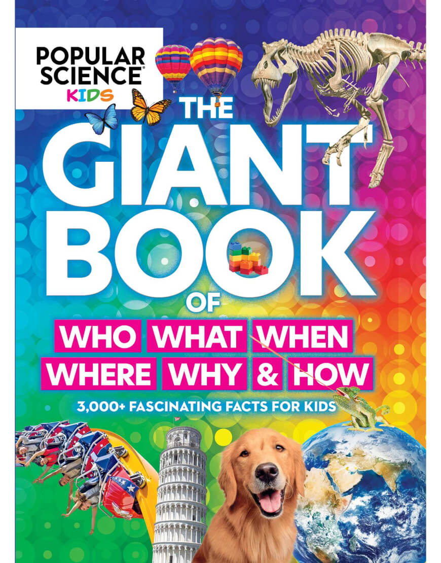 Men’s Bermuda Shorts