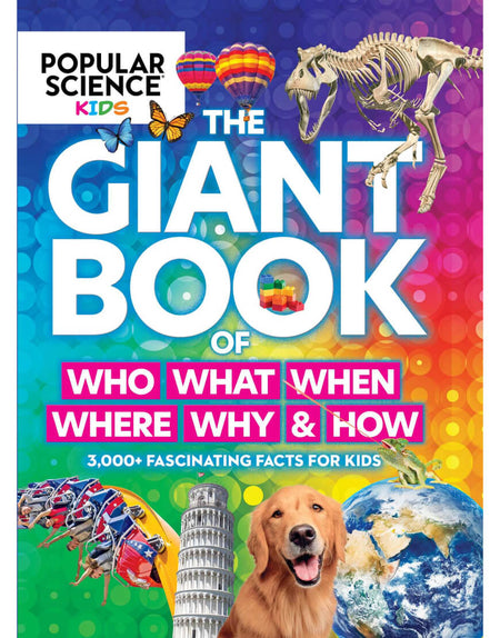 Men’s Bermuda Shorts